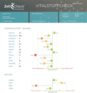 Zell-Check Vitalstoffcheck Auszug