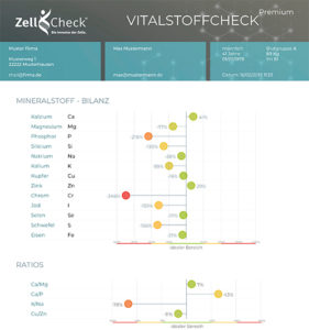 Zell-Check Vitalstoffcheck Auszug