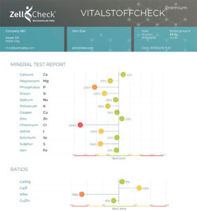 Zell-Check Vitalstoffcheck Auszug
